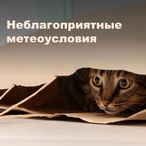 ��������! �� 20:00 18 ����� �� ���������� ������������ ������� �������������� ��������������� ������������ ��� ����������� ������� �������� � ����������� �������