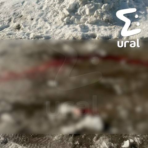 Глыба льда рухнула на маму с малышом в коляске, ещё одну женщину и её собаку