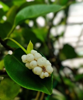 ������ ����� ����� � ���������� ������������� ���� ��� ���