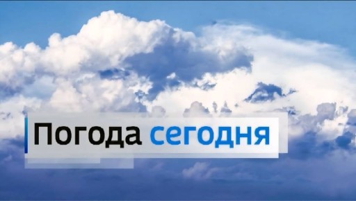 �������� ������������. � ������������ �������: ���������� ����������, ��������������� ��� �������, ���� ����� � ����� �� ������ � ������� ������� ������� ��������� ������ (�����, ������ ����), ����������