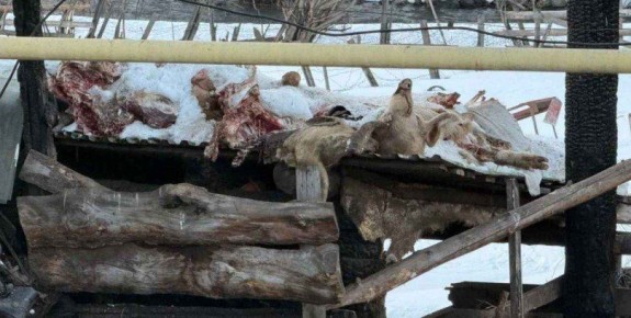 � ����� ������ ����� ����� ������, �� ����� �� ��������