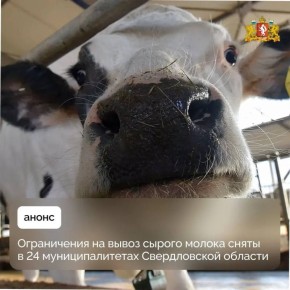 Ограничения на вывоз сырого молока за неделю сняты еще в девяти муниципальных образованиях региона