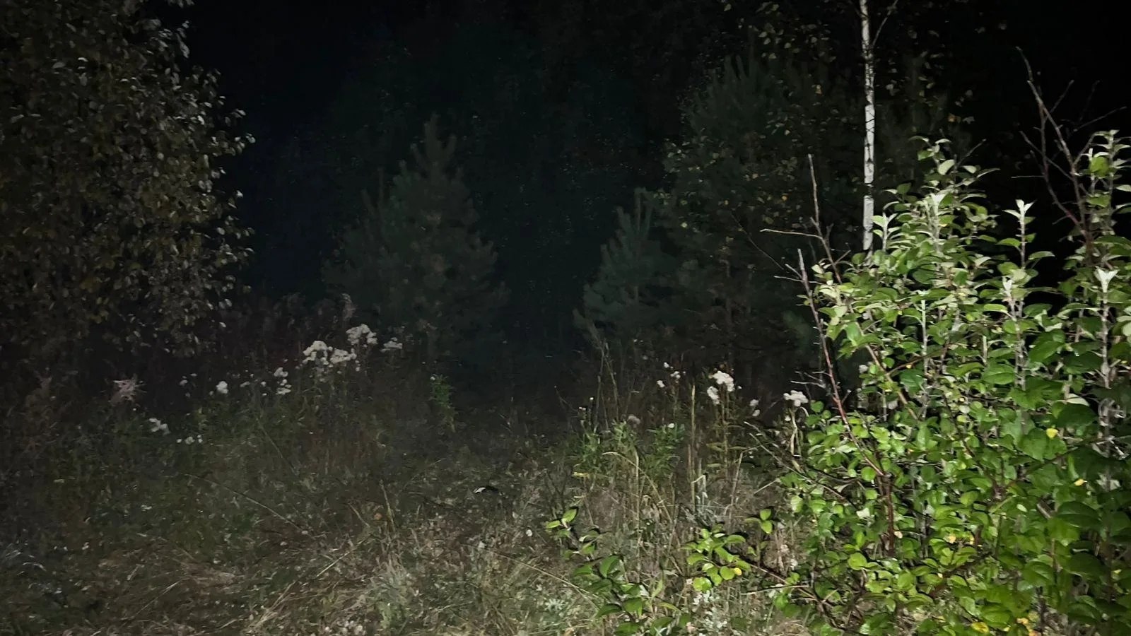 Почти 5 лет лишения свободы дали подростку, который чуть не убил знакомую из-за буллинга