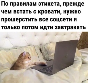 ������� ���� �������. ������� ������: ����� ������ ���� ������, ���� ���� ������ ���� �����? ���������� �����: �����