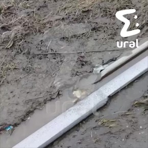 Новенький трамвай сошёл с рельсов на ВИЗе — кажется, пути в Екатеринбурге тают вместе со снегом