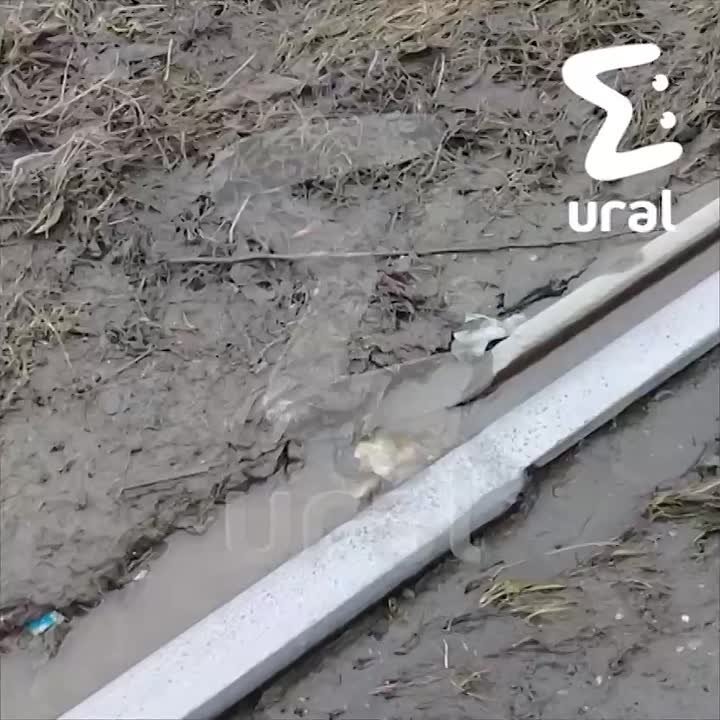 Новенький трамвай сошёл с рельсов на ВИЗе — кажется, пути в Екатеринбурге тают вместе со снегом