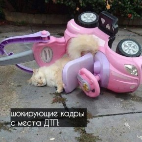 Учить детей ПДД предложили с помощью видео реальных аварий