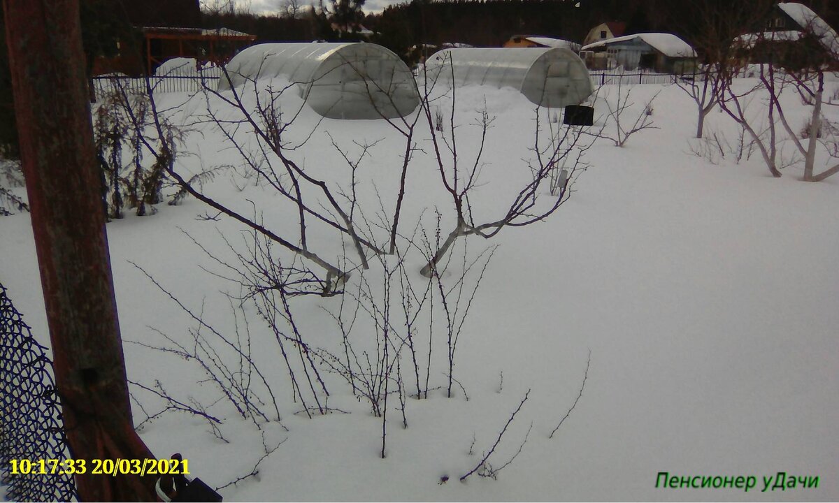 Когда весна стучится в двери: первый визит в сад