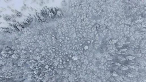 В Международный день леса Денис Паслер предложил на минуту остановиться и взглянуть на Средний Урал с высоты — там, где раскрывается его настоящая мощь