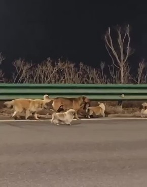 � ����� ��������� ������� ��� �� �����������