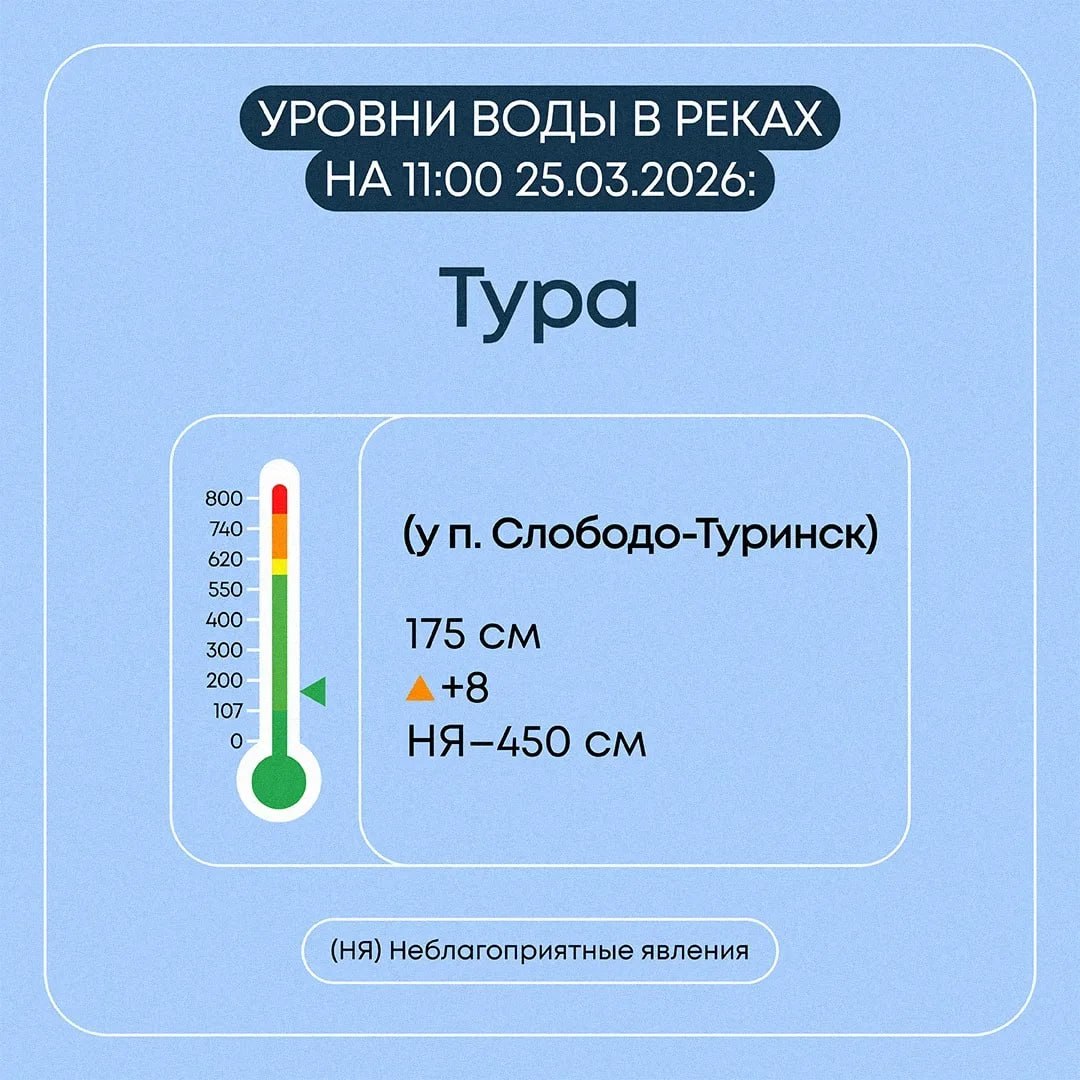 В Свердловской области организовано постоянное видеонаблюдение на наиболее опасных участках водных объектов: задействованы 29 камер в 17 муниципальных образованиях