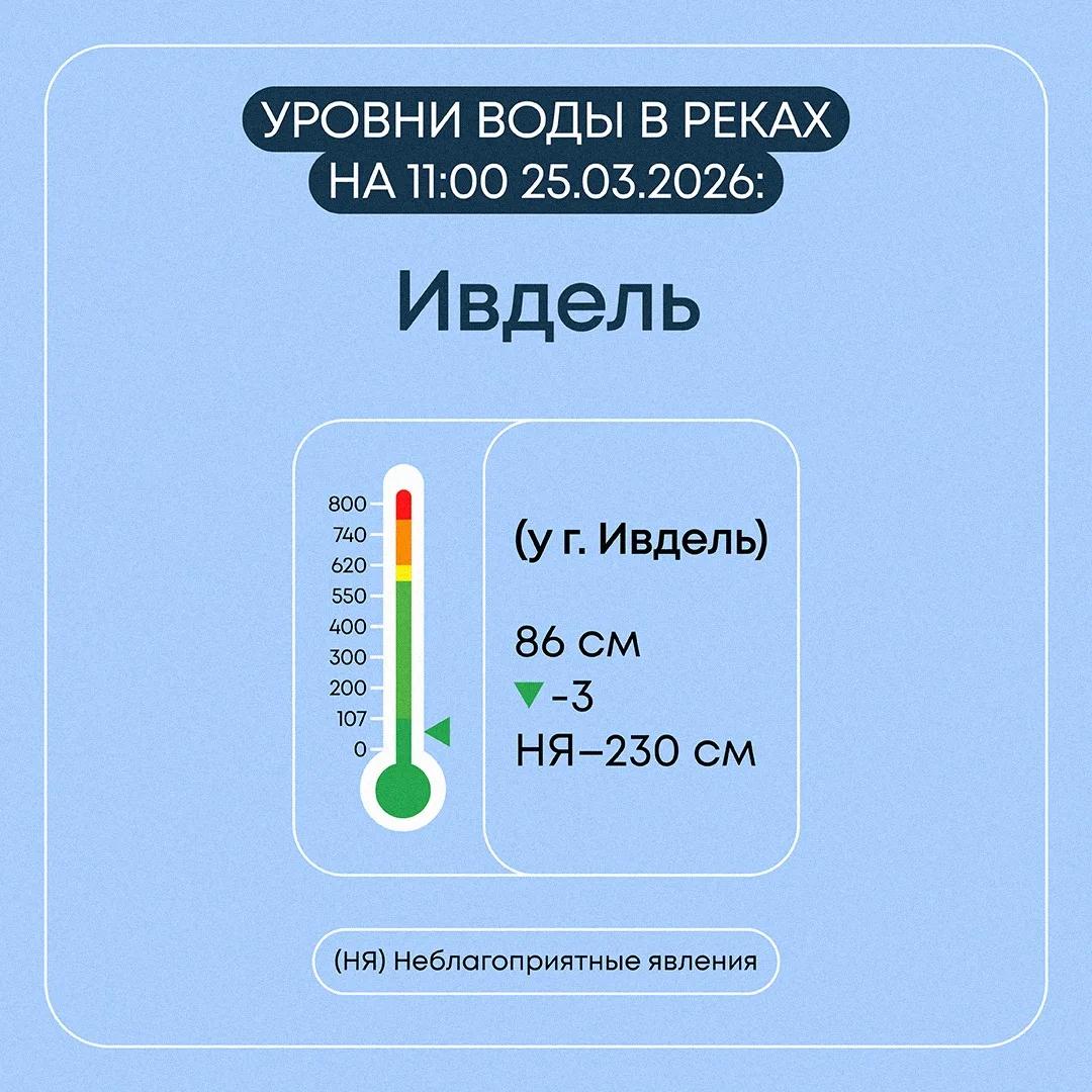 Информация о прохождении весеннего половодья в Свердловской области на 25 марта 2026 года Информация о прохождении весеннего половодья в Свердловской области на 25 марта 2026 года