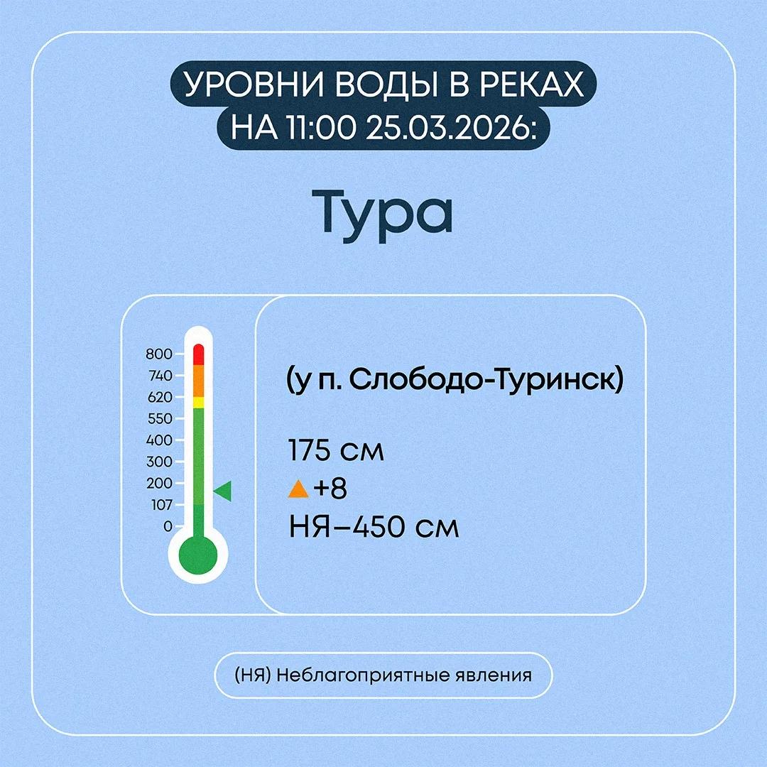 Информация о прохождении весеннего половодья в Свердловской области на 25 марта 2026 года