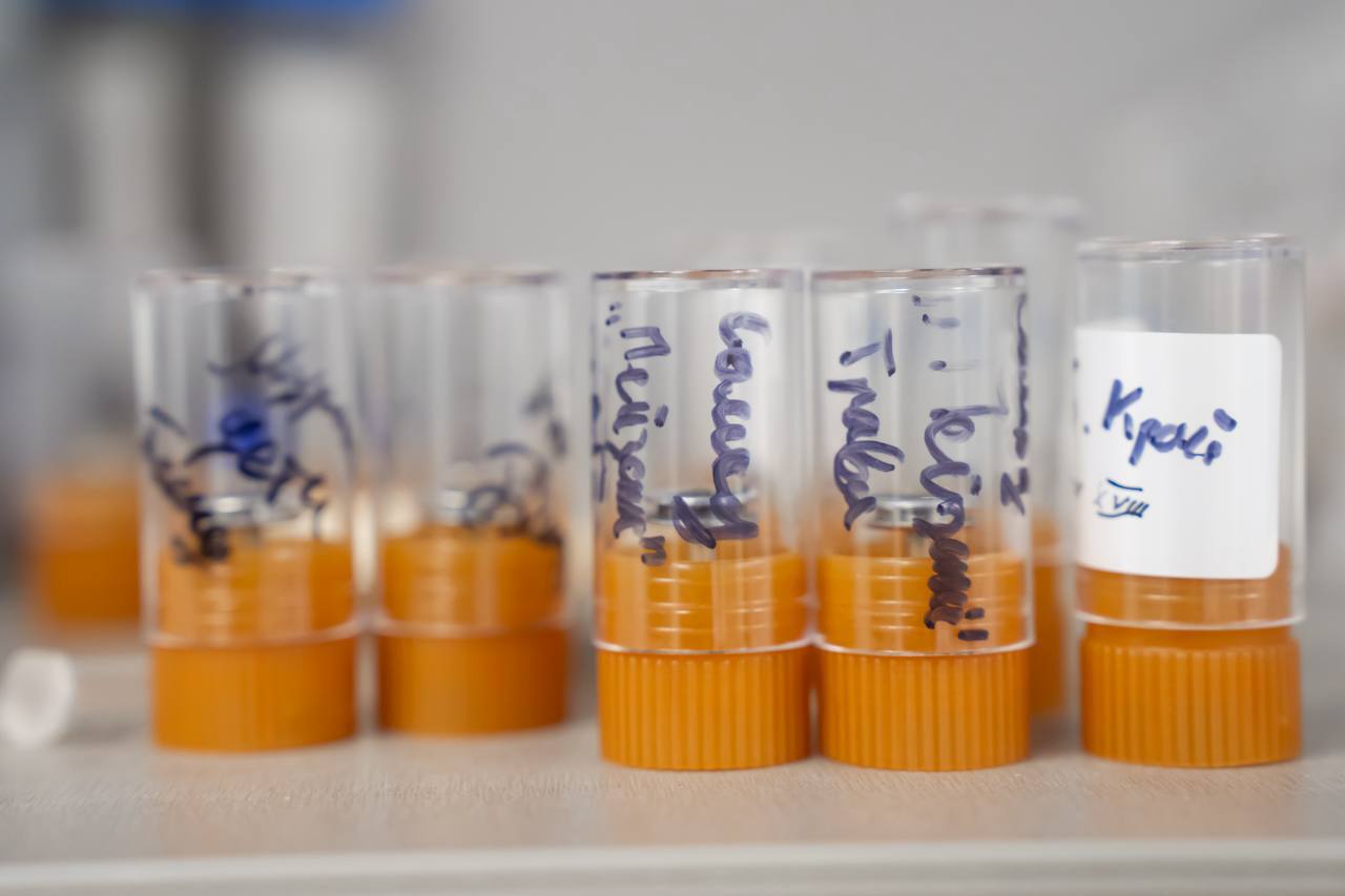 Уральский государственный горный университет готовит инженеров для всей технологической цепочки горнодобывающей отрасли Уральский государственный горный университет готовит инженеров для всей технологической цепочки горнодобывающей отрасли