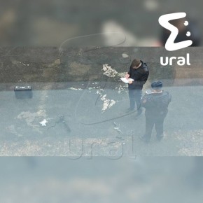 На фото — арбалет, из которого ученик челябинской школы выстрелил в педагога