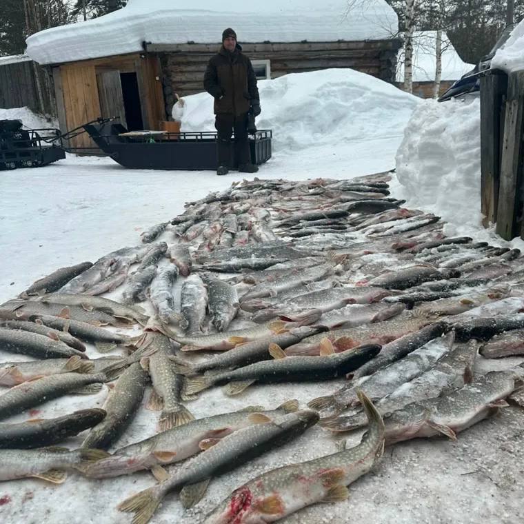 Центнер рыбы выловили рыбаки за три дня в Северной Сосьве (ХМАО)