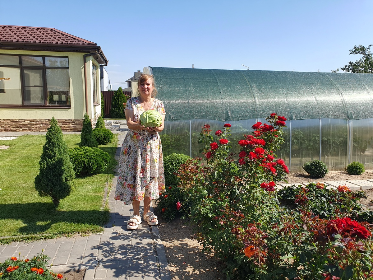 Как собрать и сохранить капусту до весны: Важные советы