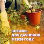 За что накажут дачников в 2026 году?