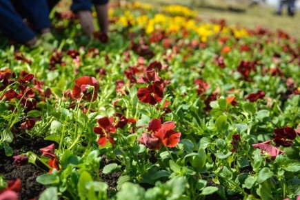 Стала известна программа лекций и практических занятий на апрель в Уральской школе садоводства и огородничества