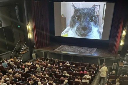 «Тупые и ненужные»: Президент призвал ограничить иностранное кино в российском прокате