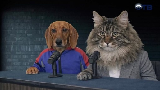 Впервые в колледжах и техникумах заработают детские лагеря