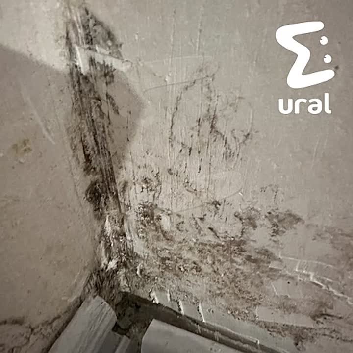 После промёрзших окон в екатеринбургском ЖК "Тихомиров" с потеплением в квартирах появилась плесень