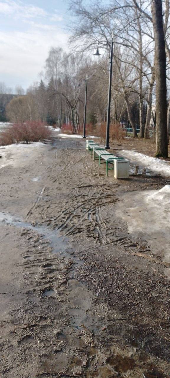 Дендропарк на Первомайской закрывают Дендропарк на Первомайской закрывают