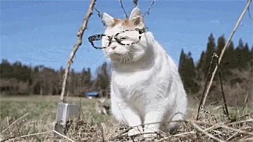 ������� ���������� ���� �������� �� �����