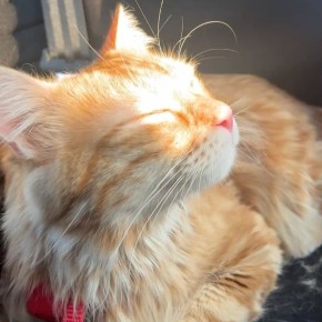 ����������� ���������� � ������� �������� � � ������������ ��� ������� ������ ����