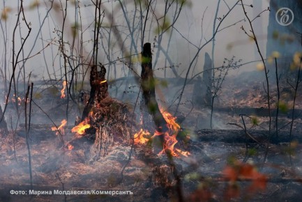 Власти Свердловской области утвердили даты начала пожароопасного сезона