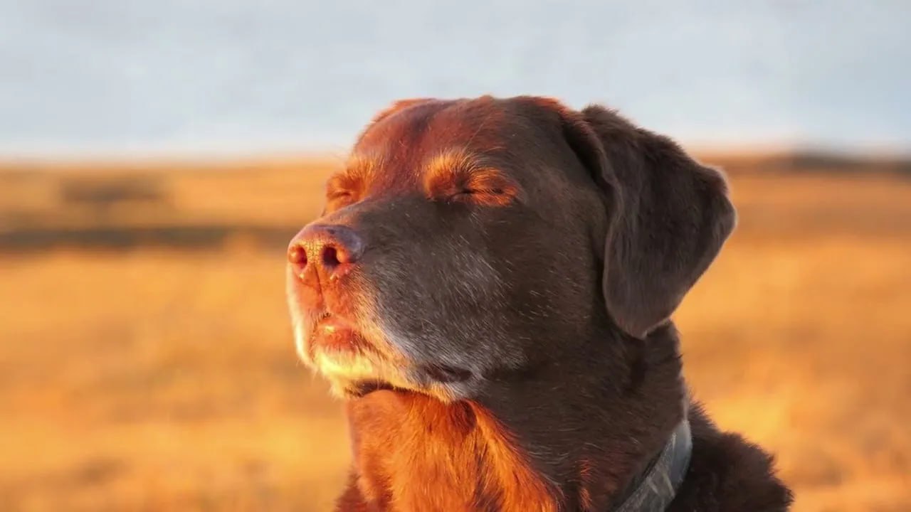 Свердловчан ожидает потепление до +24 градусов