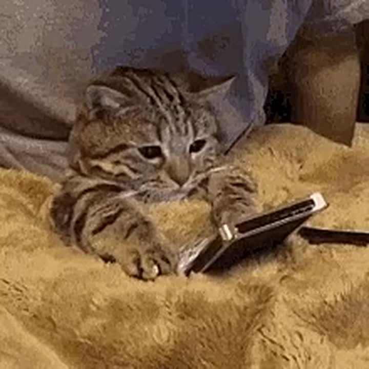 Шесть шагов, которые нужно сделать перед установкой приложения