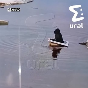 ����� �� ���� ����������, ��� ��������� �������� � ������ ����� �������� ���