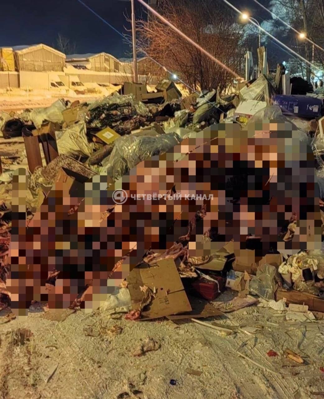 Останки животных у жилых домов: мусор с кафе целый год свозят к дому на Миномётчиков