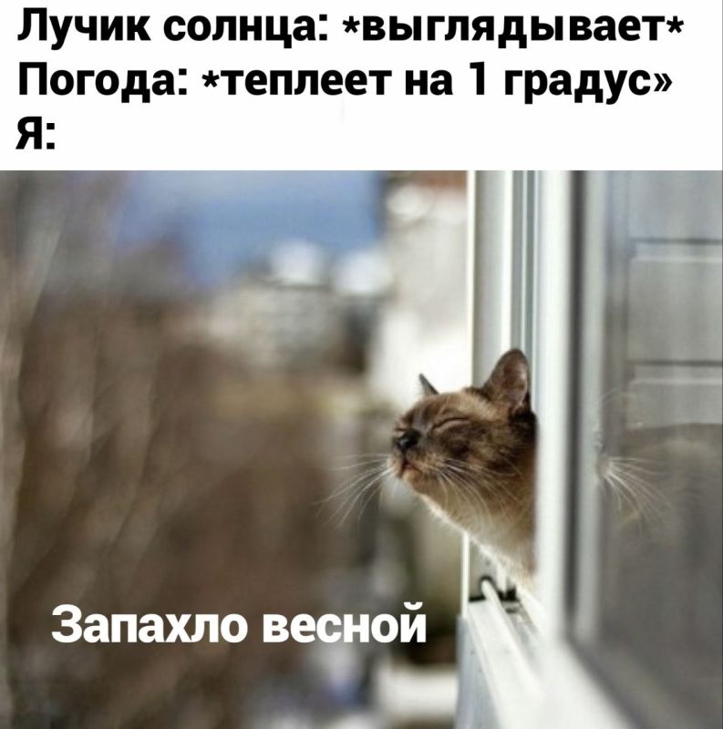 � ������������� ���������� ������� ������������� ������ �����