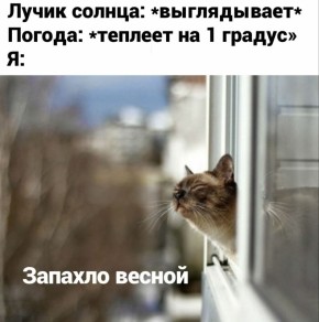 В Екатеринбурге установлен восьмой температурный рекорд марта