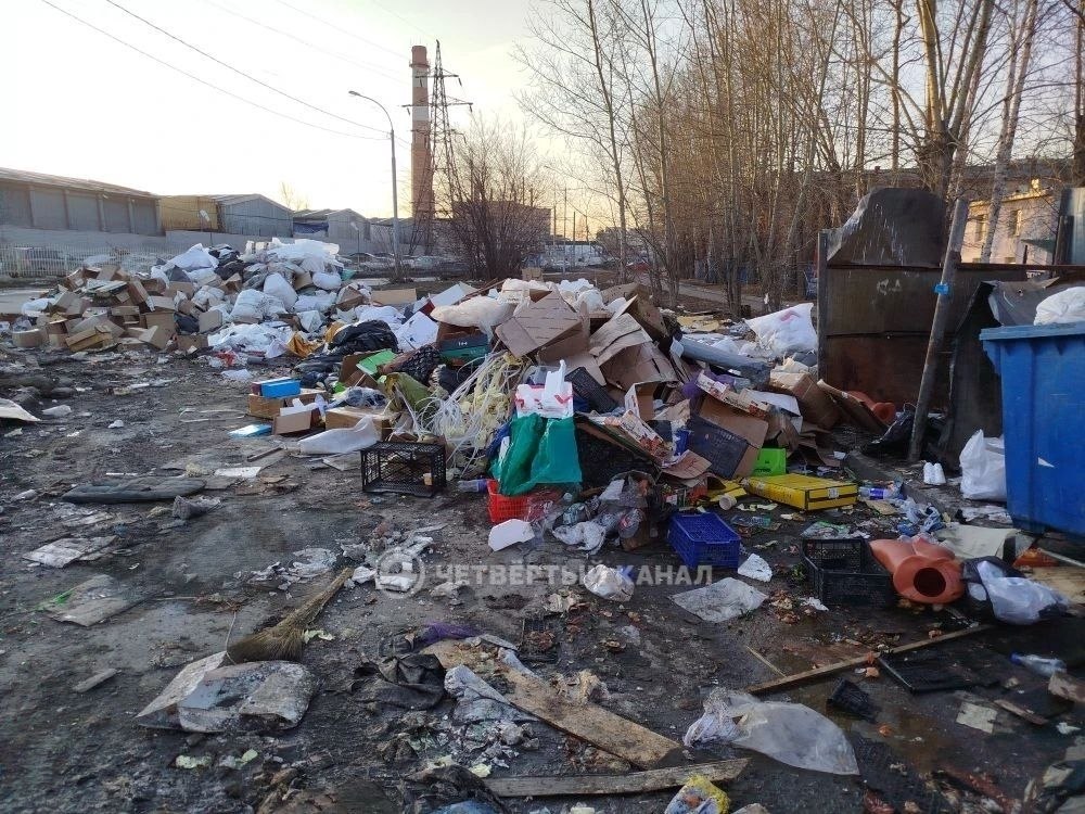 Останки животных у жилых домов: мусор с кафе целый год свозят к дому на Миномётчиков Останки животных у жилых домов: мусор с кафе целый год свозят к дому на Миномётчиков