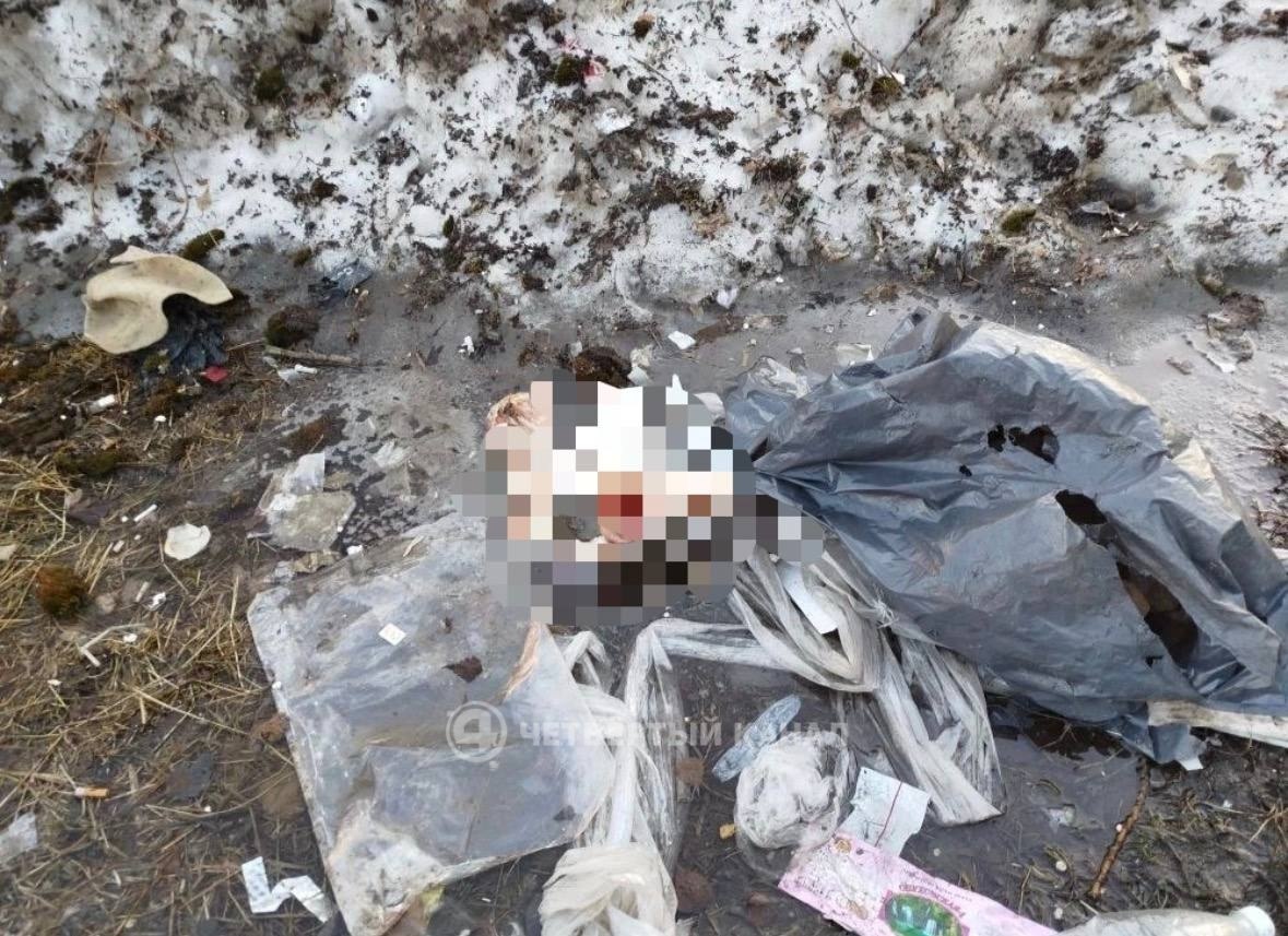 Останки животных у жилых домов: мусор с кафе целый год свозят к дому на Миномётчиков Останки животных у жилых домов: мусор с кафе целый год свозят к дому на Миномётчиков