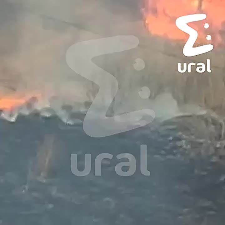 ��������� ������ ����� ���� ����� ������� �������