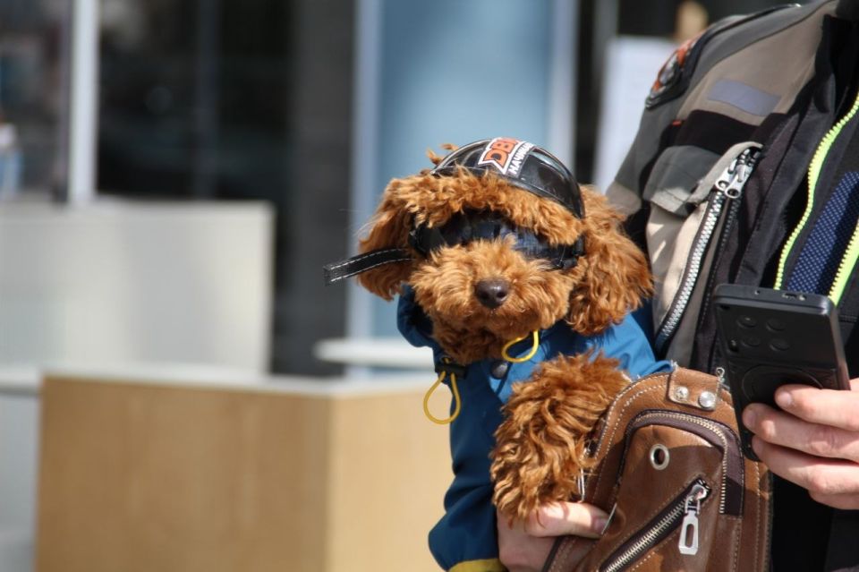 ������������ ������� ���� ����� ����� � ����������