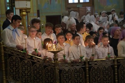 Сегодня православные верующие отмечают Вход Господень в Иерусалим, или Вербное воскресенье