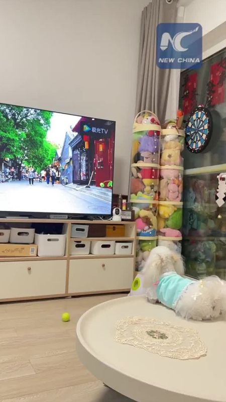 � ����� �������� ��������� ��� ��������