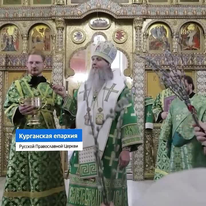 ������� ����������� �������� ������������ �� ���� ������