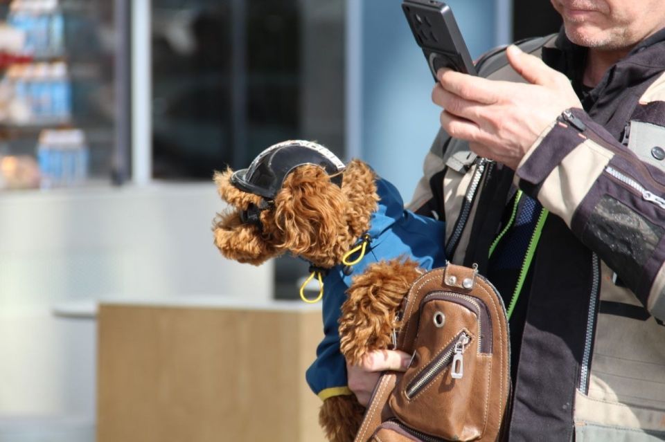 �� ������ ������������� �������� ����-������!