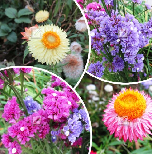 ��������� ������� �����: ��� ��������� ���������� � ������� ��� ������ �������