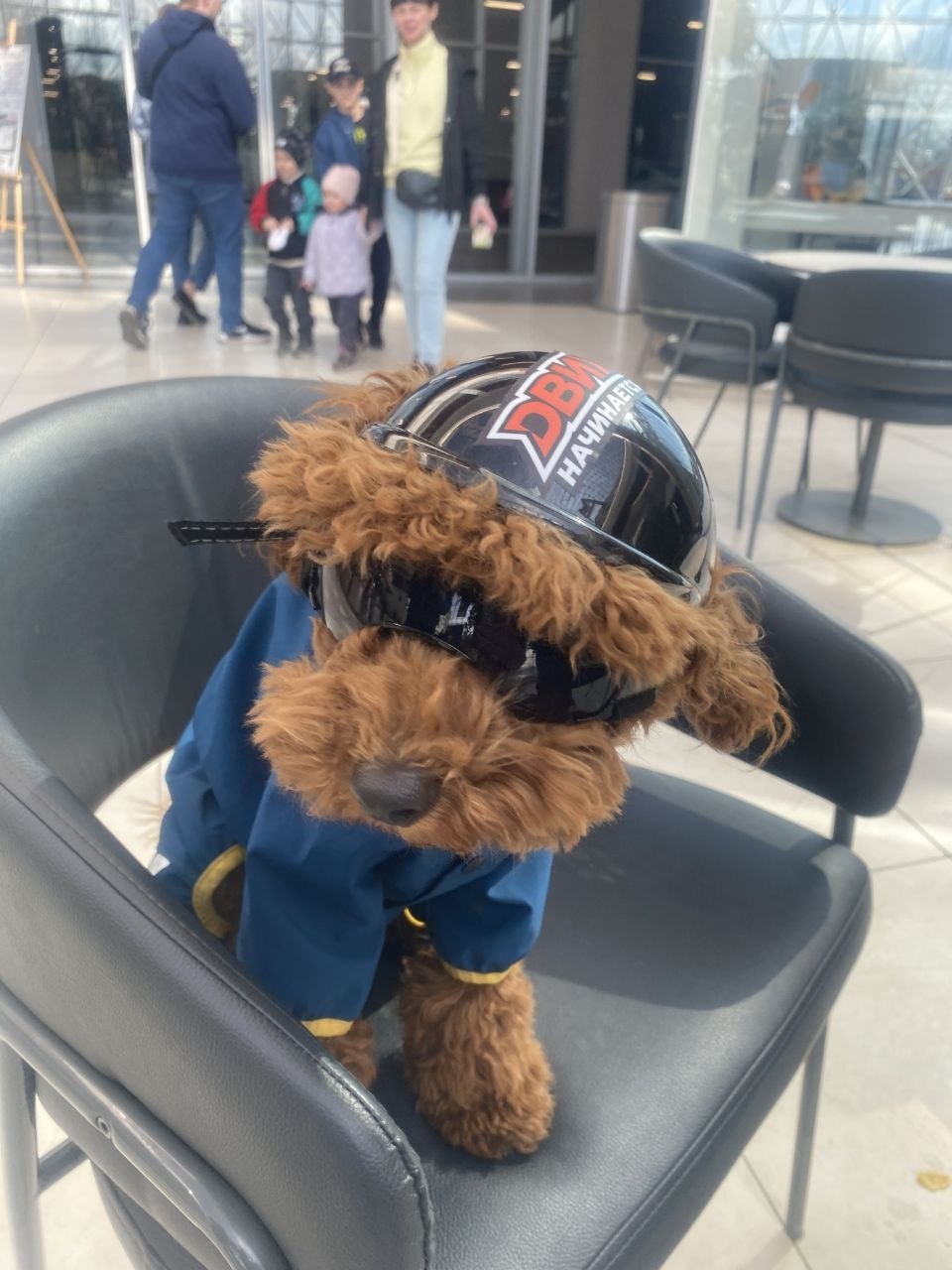 Вот такими милыми кадрами поделились наши коллеги из Госавтоинспекции Свердловской области Вот такими милыми кадрами поделились наши коллеги из Госавтоинспекции Свердловской области