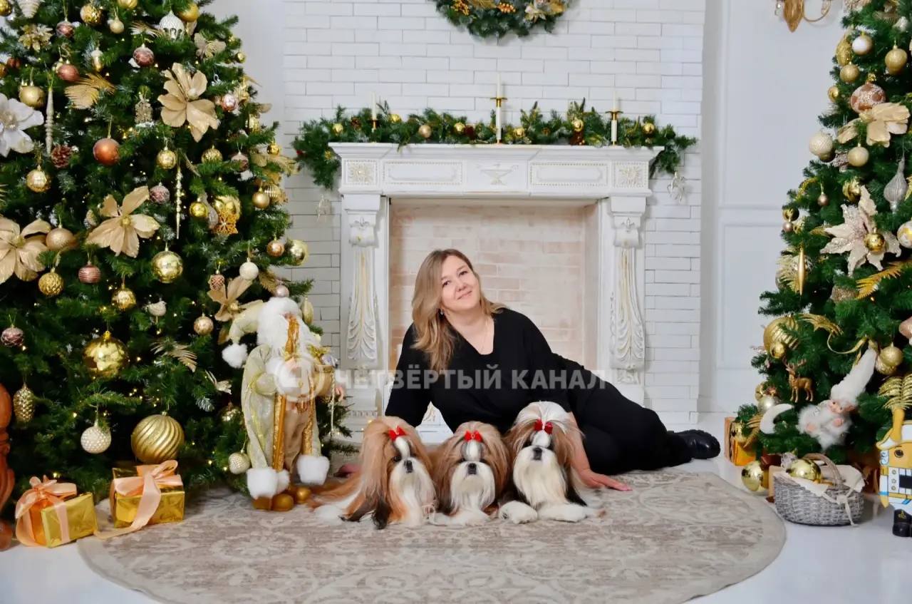 За гибель новорождённого щенка ши-тцу заводчица требует с ветклиники более 250 тысяч рублей За гибель новорождённого щенка ши-тцу заводчица требует с ветклиники более 250 тысяч рублей