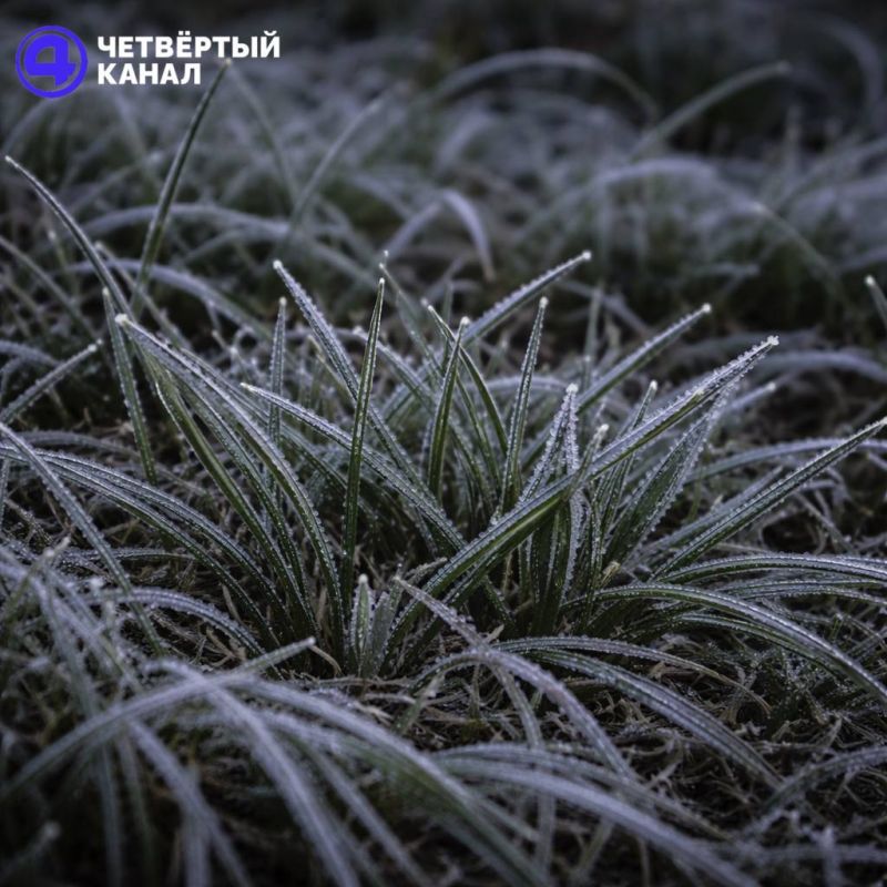 ����� ����������� � ������������ � ����������