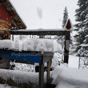 Север Свердловской области засыпало снегом