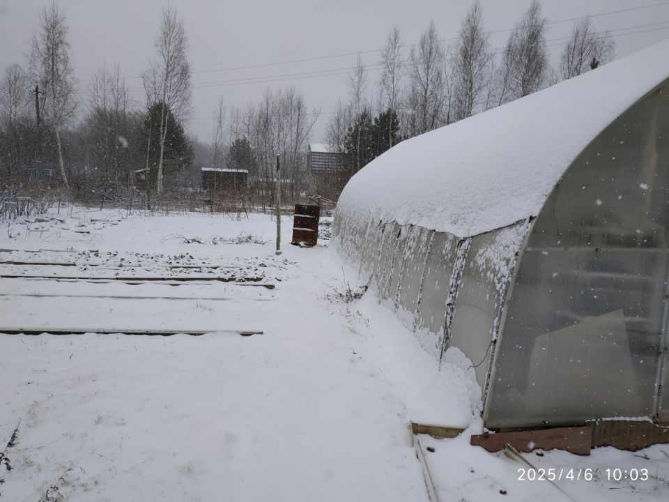 ����������� ���� � ������: ��� ������� � ��� ����� ���������?